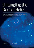 Untangling the Double HelixDNA Entanglement and the Action of the DNA Topoisomerases