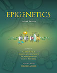Epigenetics, Second Edition