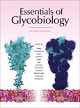 Essentials of Glycobiology, Fourth Edition